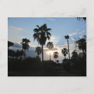 Carte postale du sud de TX