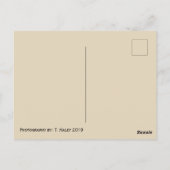 Carte postale du Tacoma Washington Train (Dos)