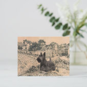 Carte postale du Terrier Écossais (Debout devant)