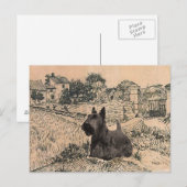 Carte postale du Terrier Écossais (Devant / Derrière)