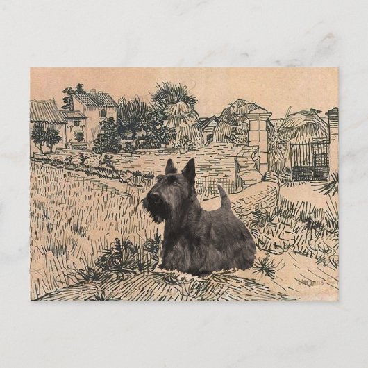 Carte postale du Terrier Écossais (Devant)