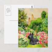 Carte postale du Terrier Écossais (Devant / Derrière)