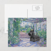 Carte postale du Terrier Écossais (Devant / Derrière)