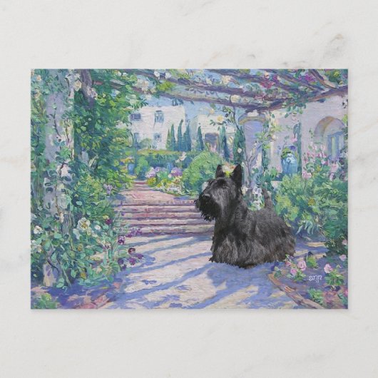 Carte postale du Terrier Écossais (Devant)