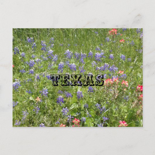 Carte postale du TEXAS (Devant)
