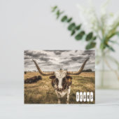 Carte postale du Texas Longhorn (Debout devant)