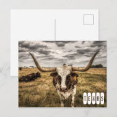Carte postale du Texas Longhorn (Devant / Derrière)