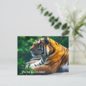 Carte postale du tigre de l'Amour (Debout devant)