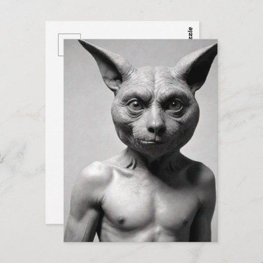 Carte postale du type chat bizarre (Devant / Derrière)