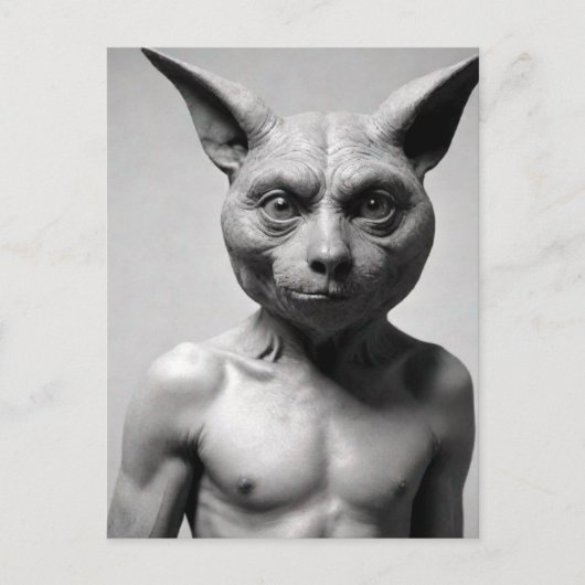 Carte postale du type chat bizarre (Devant)