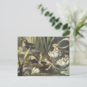 Carte postale du vendeur d'articles de Féerie vint (Debout devant)