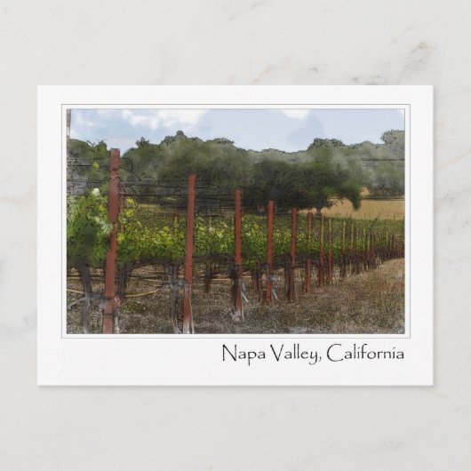 Carte postale du vignoble de la vallée de Napa en  (Devant)