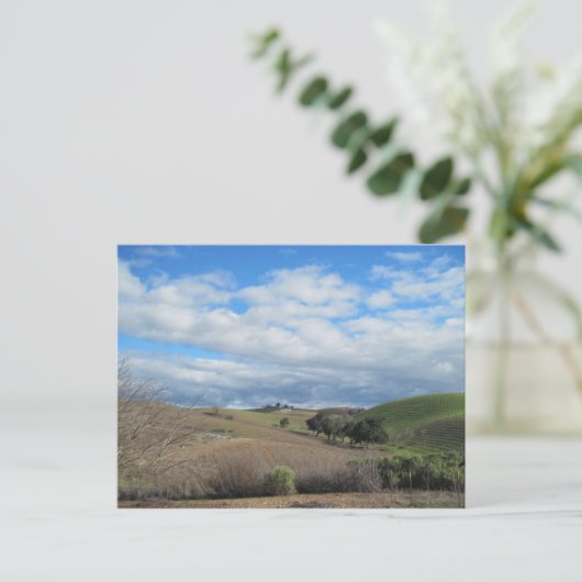 Carte postale du vignoble Paso Robles en janvier (Debout devant)