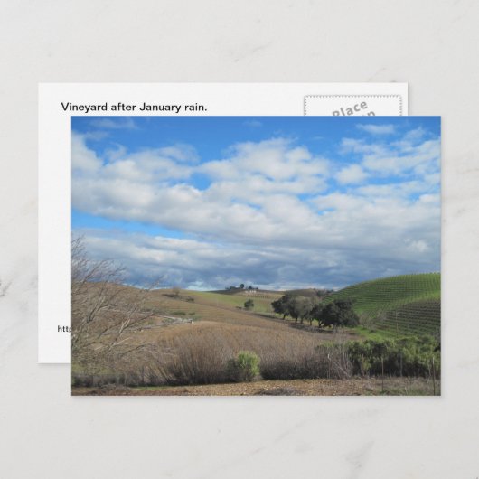 Carte postale du vignoble Paso Robles en janvier (Devant / Derrière)