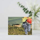 Carte postale du vignoble toscan (Debout devant)