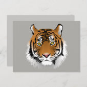 Carte postale du visage de tigre (Devant / Derrière)