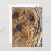 Carte postale du Yorkshire (Devant / Derrière)