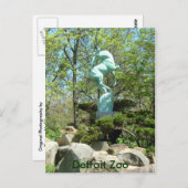 Carte postale du zoo de Détroit (Devant / Derrière)