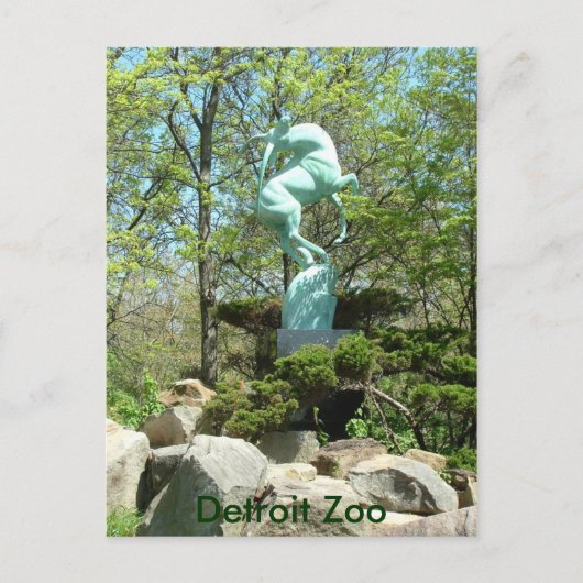 Carte postale du zoo de Détroit (Devant)