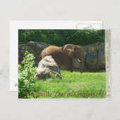 Carte postale du zoo de Nashville (Devant / Derrière)