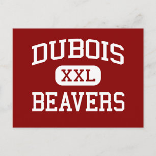 Carte Postale DuBois - Castors - Zone - DuBois Pennsylvania