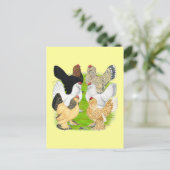 Carte Postale D'Uccles Six Hens (Debout devant)