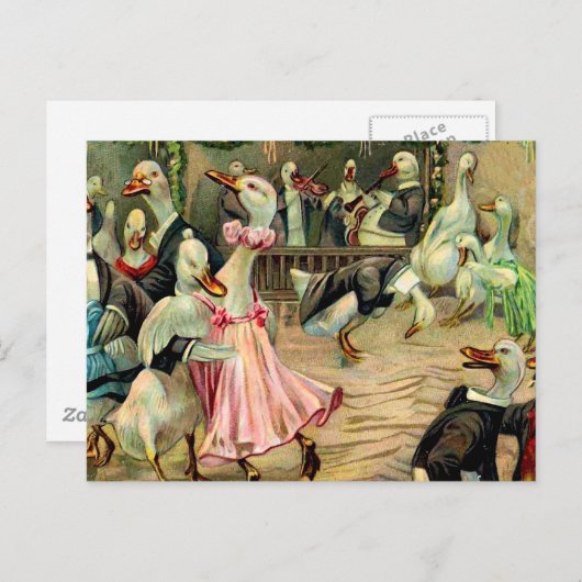 Carte Postale Duck Dancing dans une discothèque (Devant / Derrière)