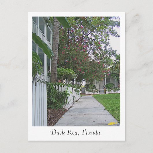 Carte Postale Duck Key, Floride (Devant)