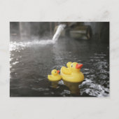 Carte Postale Duckies en caoutchouc japonais (Devant)