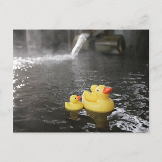 Carte Postale Duckies en caoutchouc japonais (Devant)