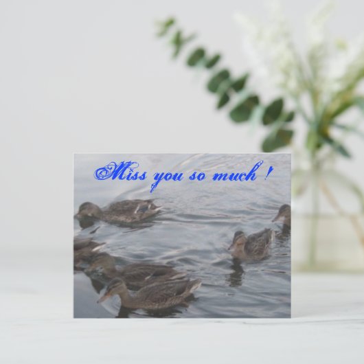 CARTE POSTALE DUCKS (Debout devant)