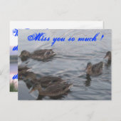 CARTE POSTALE DUCKS (Devant / Derrière)