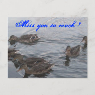 CARTE POSTALE DUCKS