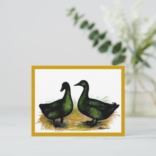 Carte Postale Ducks : Cayuga Pair (Debout devant)