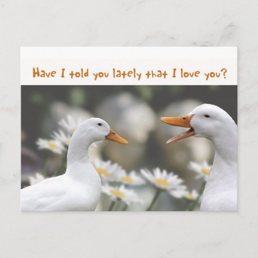 Carte Postale DucktoDuckLove vous (Devant)