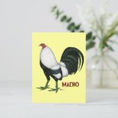 Carte Postale Duckwing Gamecock (Debout devant)