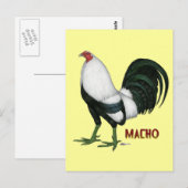 Carte Postale Duckwing Gamecock (Devant / Derrière)