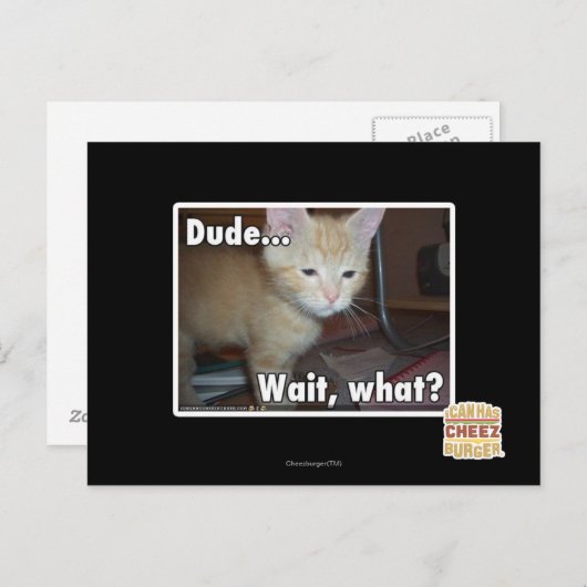 Carte Postale Dude (Devant / Derrière)