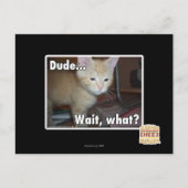 Carte Postale Dude (Devant)