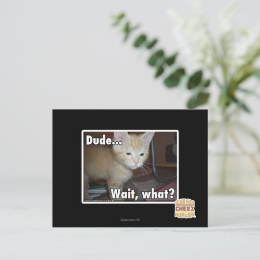 Carte Postale Dude (Debout devant)