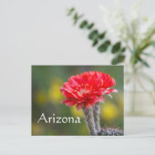 Carte Postale Duet de Firelight fleur de cactus, Arizona (Debout devant)