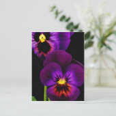 Carte Postale Duet de panneaux violets, fleurs de l'État de Wash (Debout devant)