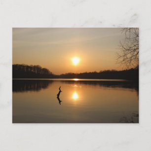 Carte postale d'un beau coucher de soleil au bord 