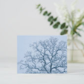 Carte postale d'un chêne sous la neige (Debout devant)