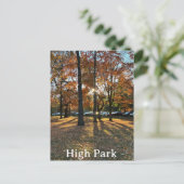 Carte postale d'un coucher de soleil à High Park (Debout devant)