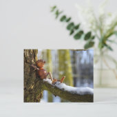 Carte postale d'un Elfe Gland dans une forêt ennei (Debout devant)