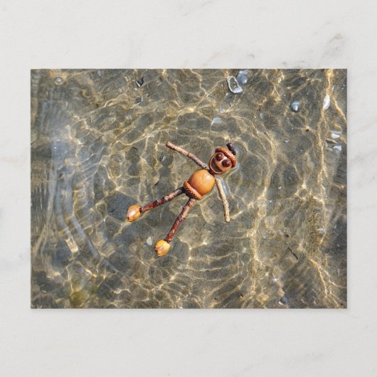 Carte postale d'un Elfe Gland flottant dans l'eau (Devant)