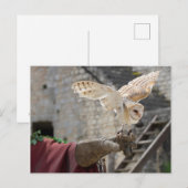Carte postale d'un hibou (Devant / Derrière)