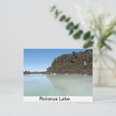 Carte postale d'un magnifique lac à Rotorua (Debout devant)