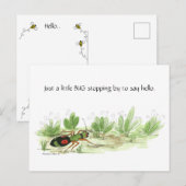 Carte postale d'un petit insecte (Devant / Derrière)
